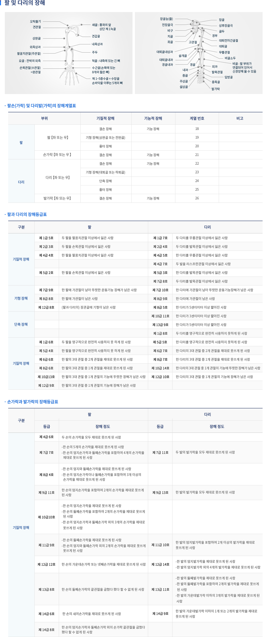팔, 다리 내용