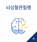 뇌심혈관질병