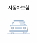 자동차보험